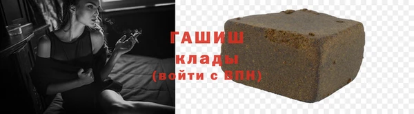 стаф Алзамай