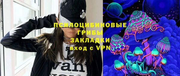 не бодяженный Алексин