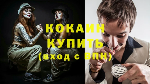 стаф Алзамай
