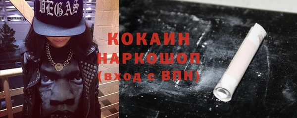 стаф Алзамай