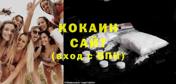 не бодяженный Алексин