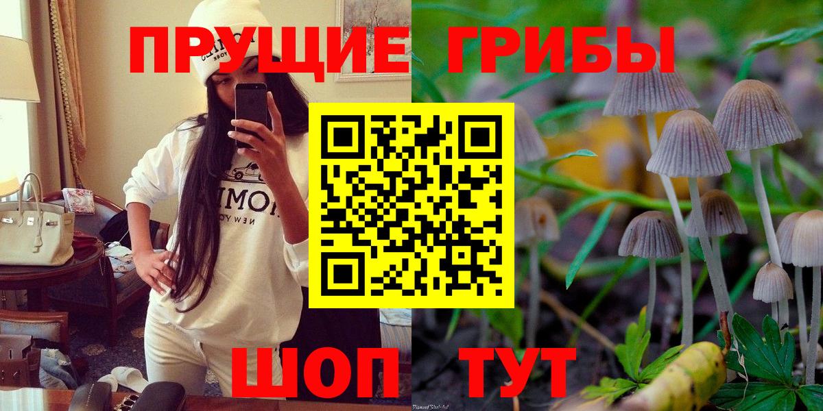 Елабуга  Галлюциногенные грибы ЛСД  Вход с VPN  Галлюциногенные грибы мицелий 